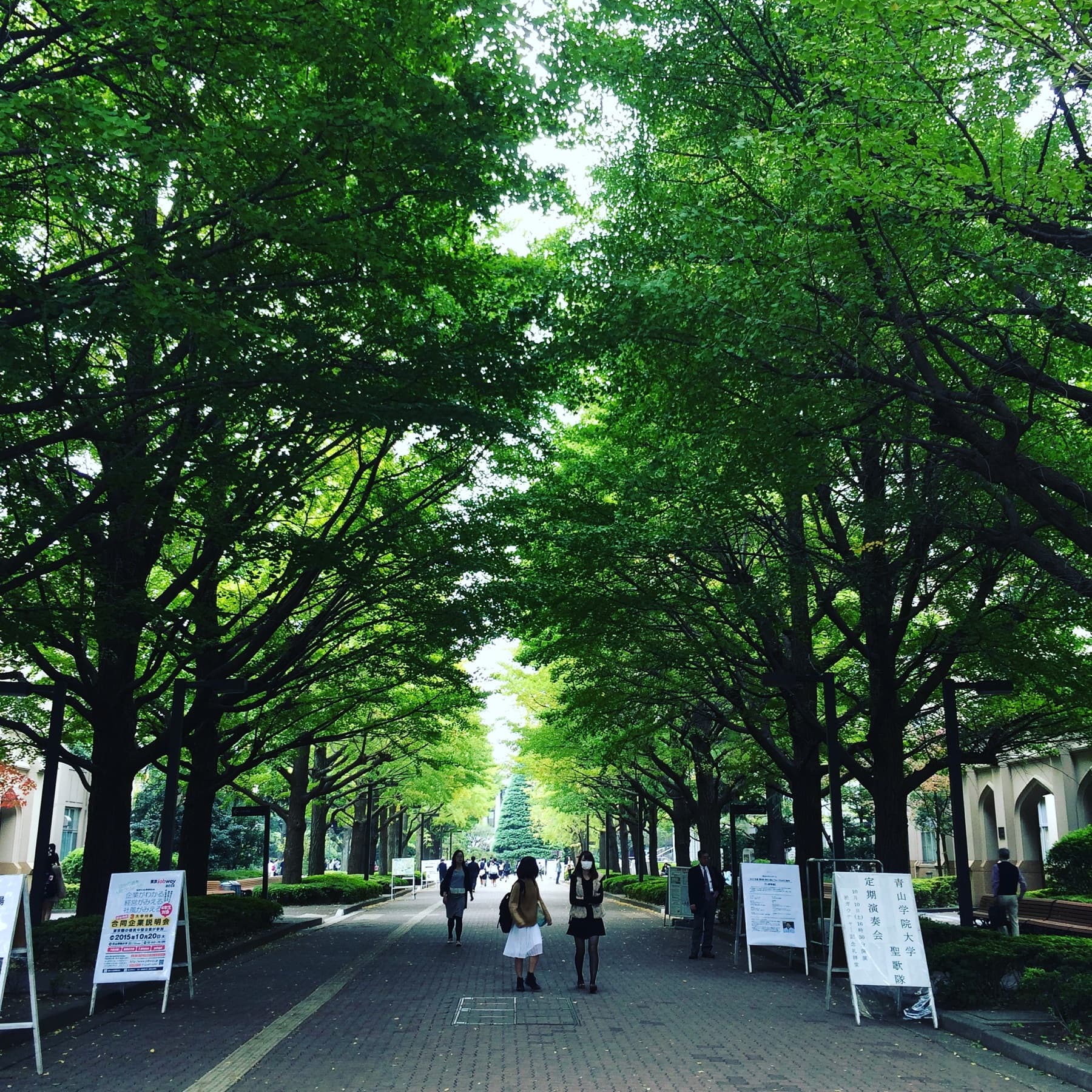木々に囲まれた青山学院大学青山キャンパスの並木道